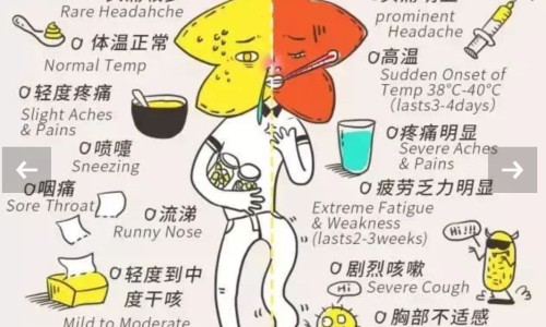 狂犬疫苗期间能运动吗-狂犬疫苗期间能运动吗网- 打了狂犬疫苗可以健身运动吗知识,分享打了狂犬疫苗可以健身运动吗